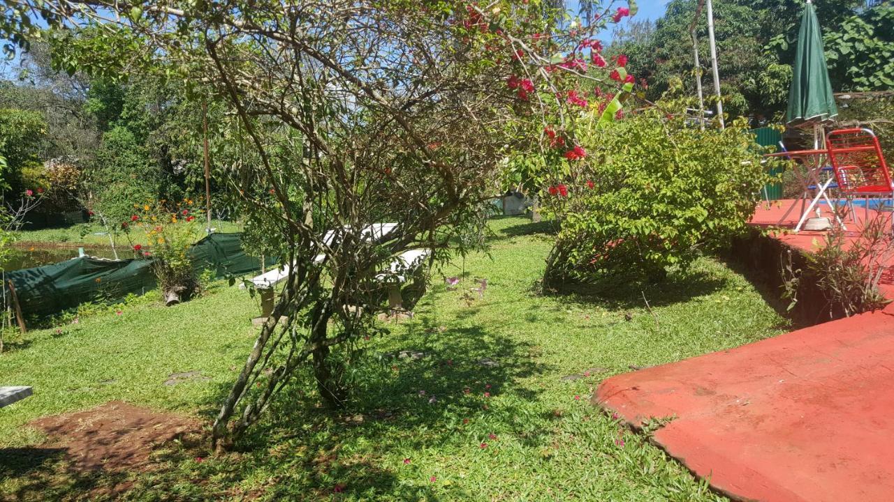 Hotel Y Residencial Amigos Puerto Iguazú Exteriör bild
